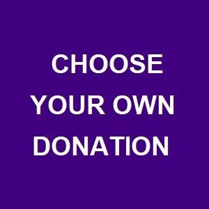 Choose Your Donation Amount